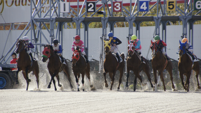 笠松競馬場はいいところでした