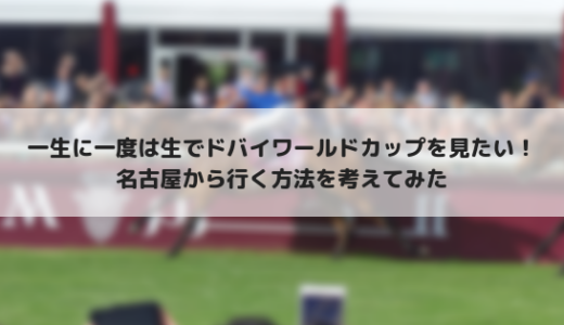 ドバイワールドCを生で見たい！名古屋からドバイに行く方法を調べてみた