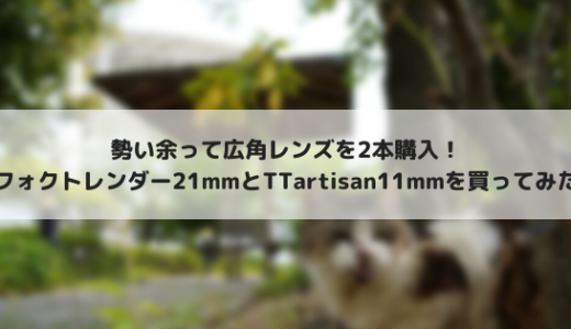 広角レンズ沼！フォクトレンダー21mm F3.5とTTartisan 11mm F2.8購入