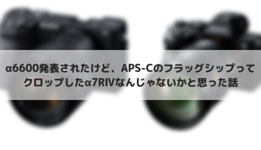 ソニーのAPS-Cフラッグシップはα6600ではなくα7RⅣだと思った話