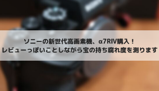 ソニーα7RⅣレビュー！6100万画素センサーを搭載した高画素ミラーレスカメラ