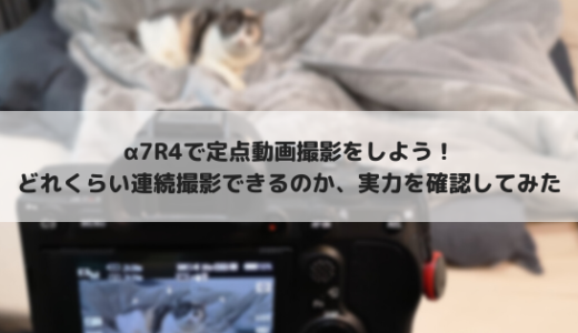 録画時間制限無し！α7R4を定点動画撮影でどれだけ録画できるか調べてみた