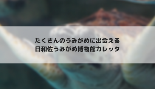 【四国旅行2】日和佐うみがめ博物館カレッタはうみがめだらけ！