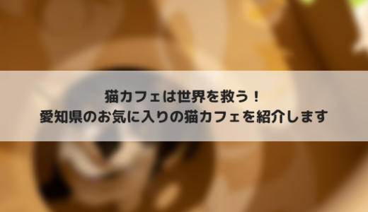 かわいい猫に癒されたい！愛知県のお気に入りの猫カフェを紹介します