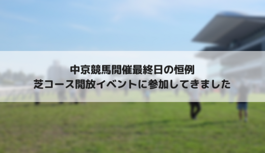 中京競馬場最終日の定番！芝コース開放されたので行ってきました