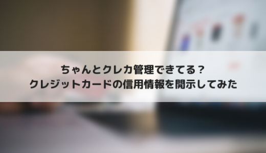 インターネットで簡単に信用情報確認！CICのネット開示を利用してみた