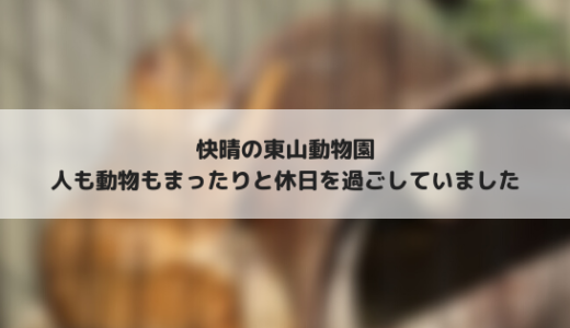 快晴の東山動物園では人も動物も気持ちよさそうにするものです