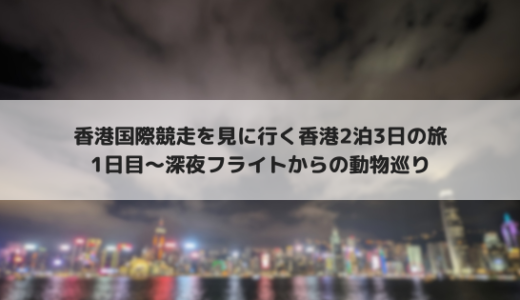 2023年の香港国際競走を観戦する香港旅行：1日目