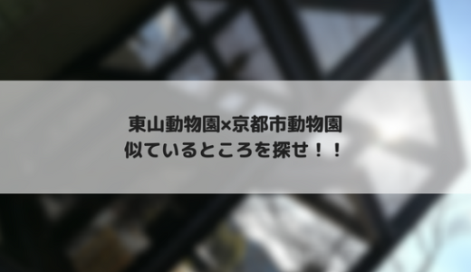 東山動物園と京都市動物園は似ているような気がする