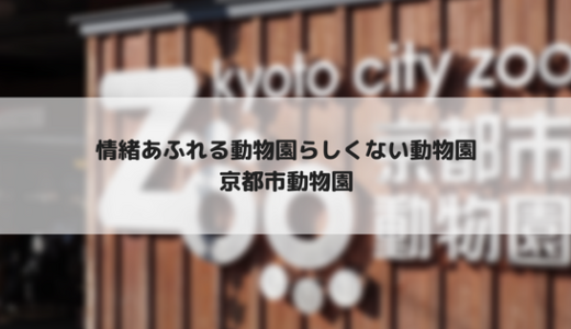 京都市動物園へ行きました～広くはないが京都らしい趣