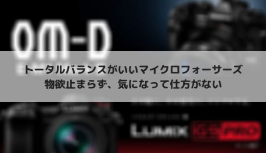 フルサイズ使いが今気になるマイクロフォーサーズカメラ