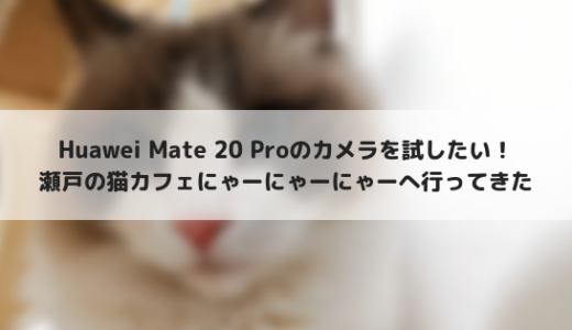 Huawei Mate 20 Proで撮る、瀬戸の猫カフェ「にゃーにゃーにゃー」