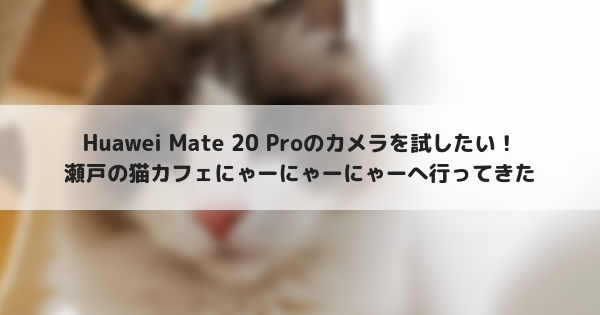 Huawei Mate Proで撮る 瀬戸の猫カフェ にゃーにゃーにゃー たまくま倶楽部