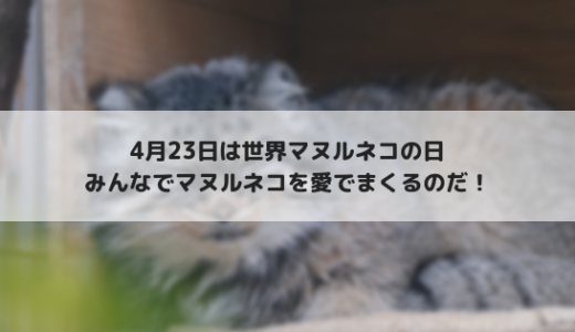 4月23日は「国際マヌルネコの日（International Pallas’s cat day）」に決定！