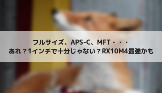 カメラってフルサイズとかAPS-Cとかあるけど1インチセンサーで十分じゃんと思った話