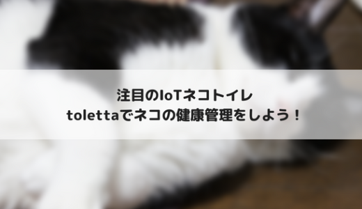 IoTネコトイレ「toletta」登場！ネコの健康をトイレが教えてくれる