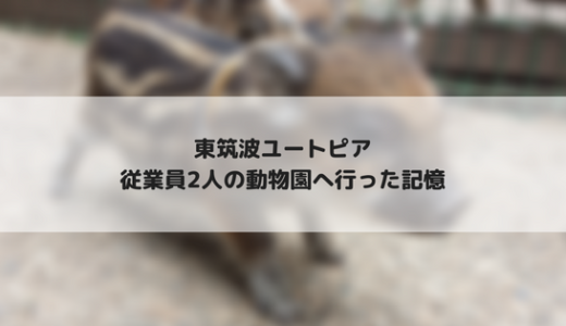 【天才！志村どうぶつ園】東筑波ユートピアへ行ったことがありました