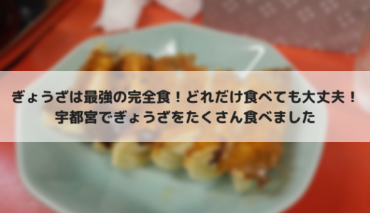 宇都宮餃子を食べ歩き！食べ歩いたお店を紹介します