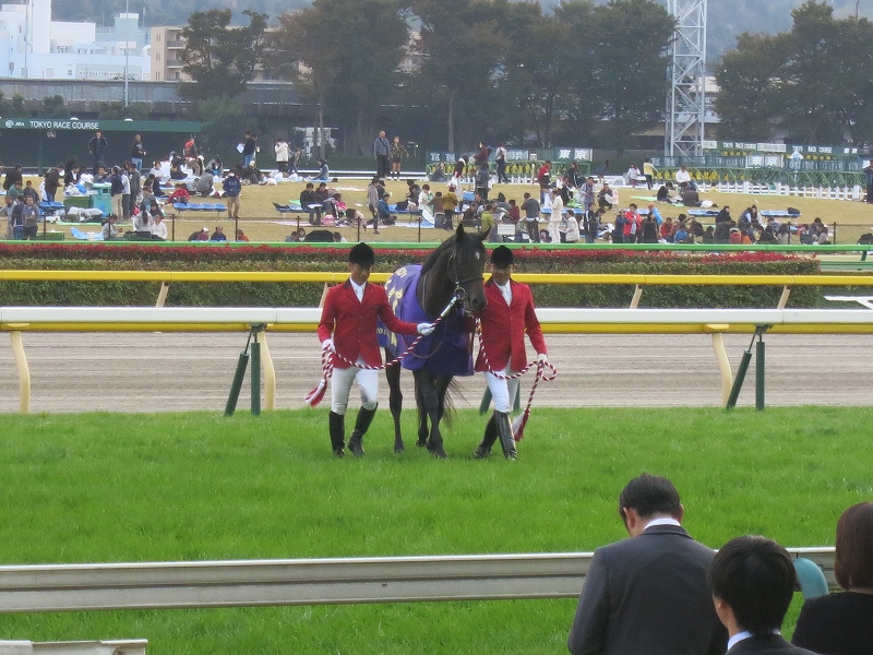 昼は東京競馬場、夜は大井競馬場の旅